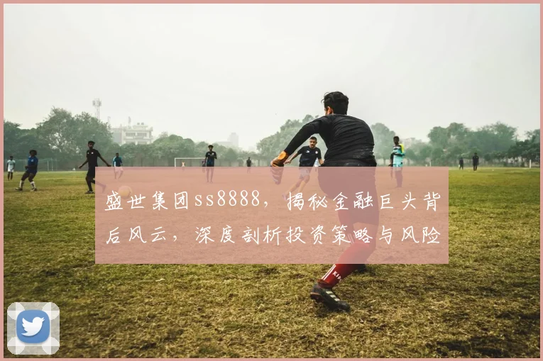 盛世集团ss8888，揭秘金融巨头背后风云，深度剖析投资策略与风险控制。