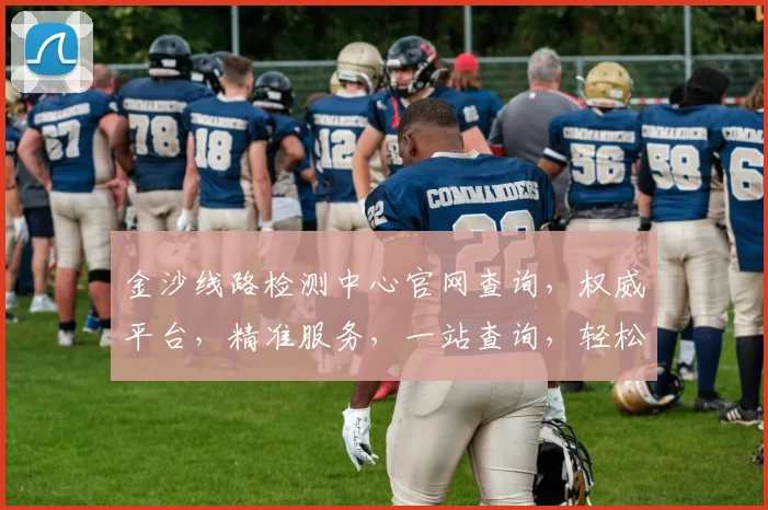 金沙线路检测中心官网查询，权威平台，精准服务，一站查询，轻松解决。